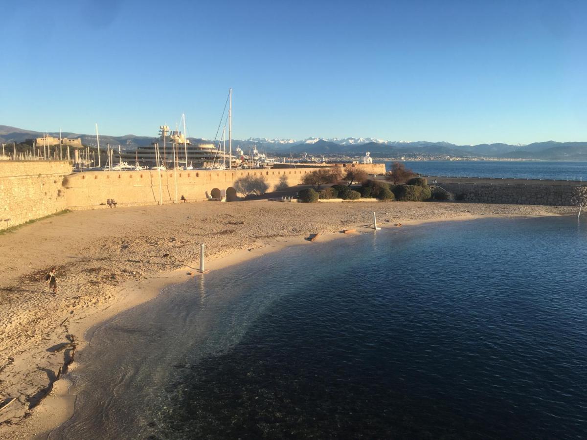 Tortue De Mer Antibes Luaran gambar