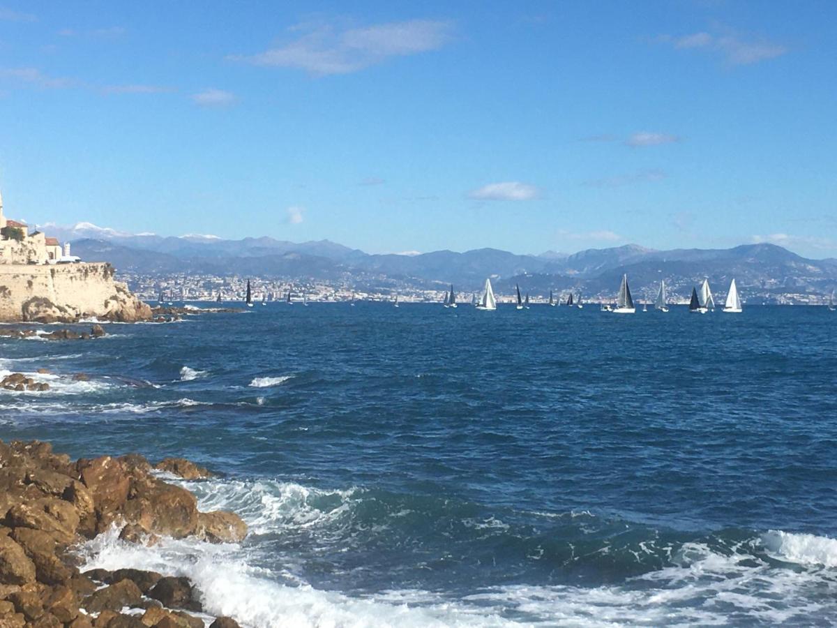 Tortue De Mer Antibes Luaran gambar